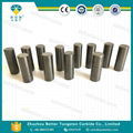 Flat Head Cemented Tungsten Carbide Roller Grinding Press HPGR Studs Pins 4