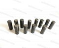 Flat Head Cemented Tungsten Carbide Roller Grinding Press HPGR Studs Pins 5