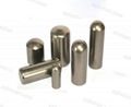 Polished Tungten Carbide Stud Pins On