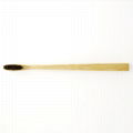 FDA Approved 100% Biodegradable Environmental Charcoal Bamboo Toothbrush