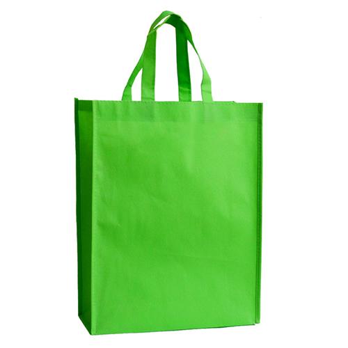 Non woven bag 2