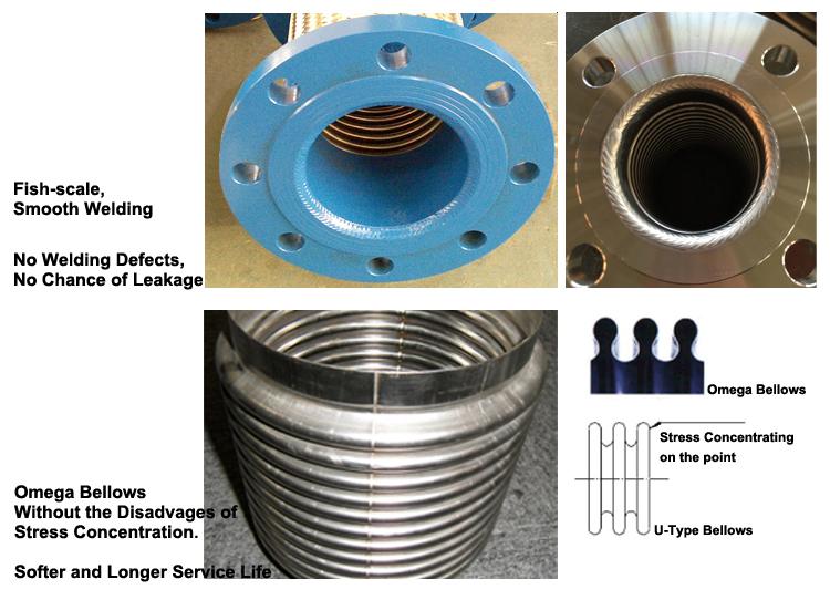 Pipe Flexible Joint EH400BW EHASEFLEX (China Manufacturer) Pipe