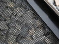 Double Crimp Screen Wire Mesh 3