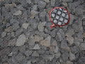 Double Crimp Screen Wire Mesh 4