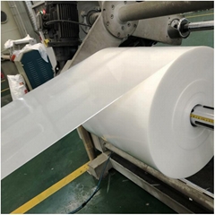 Quality Plastic Sheet PP Roll for Thermoforming Food Grade PP plastic roll