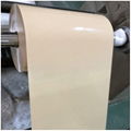 Quality Plastic Sheet PP Roll for Thermoforming Food Grade PP plastic roll 3