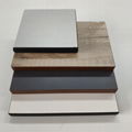 HPL panel and phenolic compact laminate