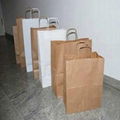 Ecological Paper Bags with A Rectangular Bottom 1