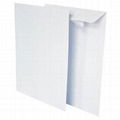 Envelopes (Standard, Decorative, with Protection, Non-standard, Secure, Courier) 2