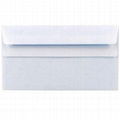 Envelopes (Standard, Decorative, with Protection, Non-standard, Secure, Courier)