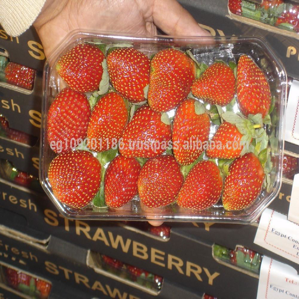 fresh strawberry 2