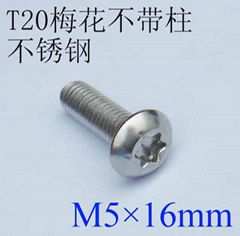 SS 304 Torx Bolt M5*16mm 