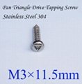 SS 304 Pan Head Triangle Screw M3*11.5mm