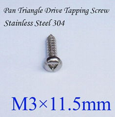 SS 304 Pan Head Triangle Screw M3*11.5mm 