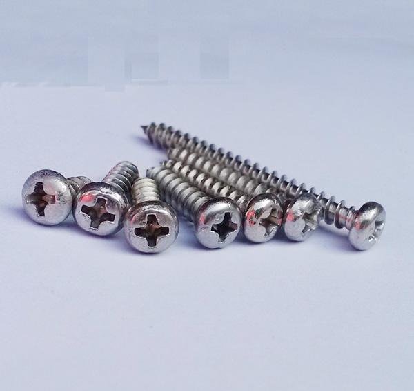 Pan Head Philips Tapping Screw Stainles Steel 304 