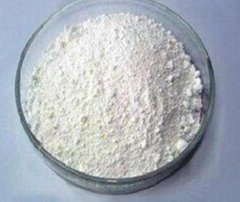 Titanium white powder