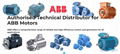 Allen Bradley Drivers & Motors