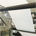 factory price color widely pp polypropylene plastic sheet for packaging 3