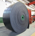 Chemical Resistant Fabric Conveyor Belt 1