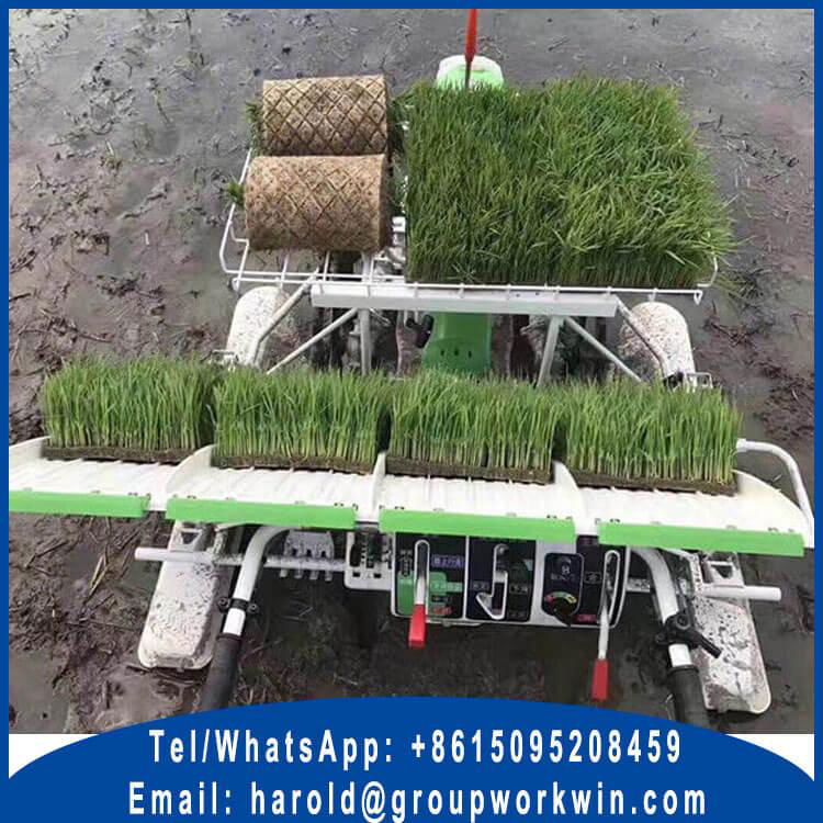 rice transplanter trays 4