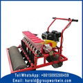 Onion Planter For Sale  1