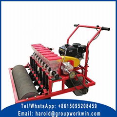 Onion Planter For Sale 