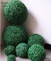 artificial green ball,plastic fake grass ball for sale 3