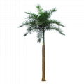 Custom lifelike artificial palm tree king coconut tree decorative for garden