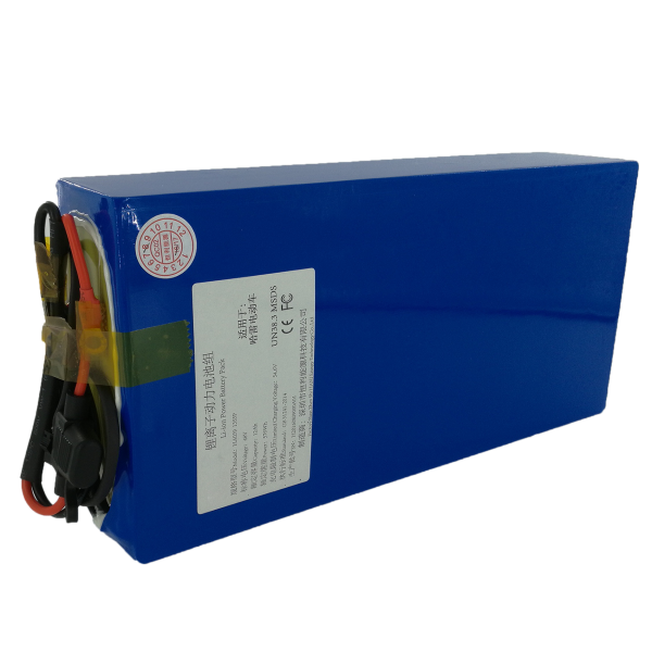 48V 12Ah Battery Pack with BMS