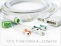 ECG Trunk Cable & Leadwires