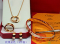 Cartier LOVE bracelet DIAMOD Panthère de cartier bangle earring neacklace box   2