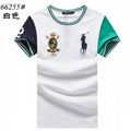 Polo              man short sleeve t-shirt new cotton POLO tshirt 7