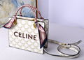 Celine bag triomphe canvas calfskin handbag vertical cabas celine totes polco