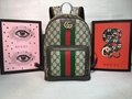 Gucci backpack ophidia GG gucci eden superme skateboard backpack with web