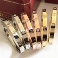 wholesale cartier jewelry bracelets brooch necklance woman ring earring bangle 20