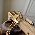     ag MONOGRAM Pochette Félicie     luth S-lock tote handbag purse M46544 3