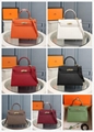 Hermes Mini Kelly handbag purse tote handle bag crocodile leather 