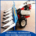 Self Propelled Windrower for Sale 3