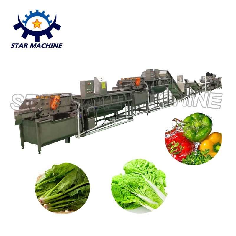 ultrasonic vegetable and fruits washer line
