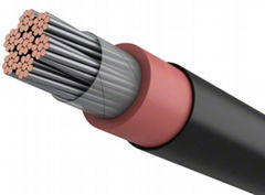 Diesel Locomotive Cable