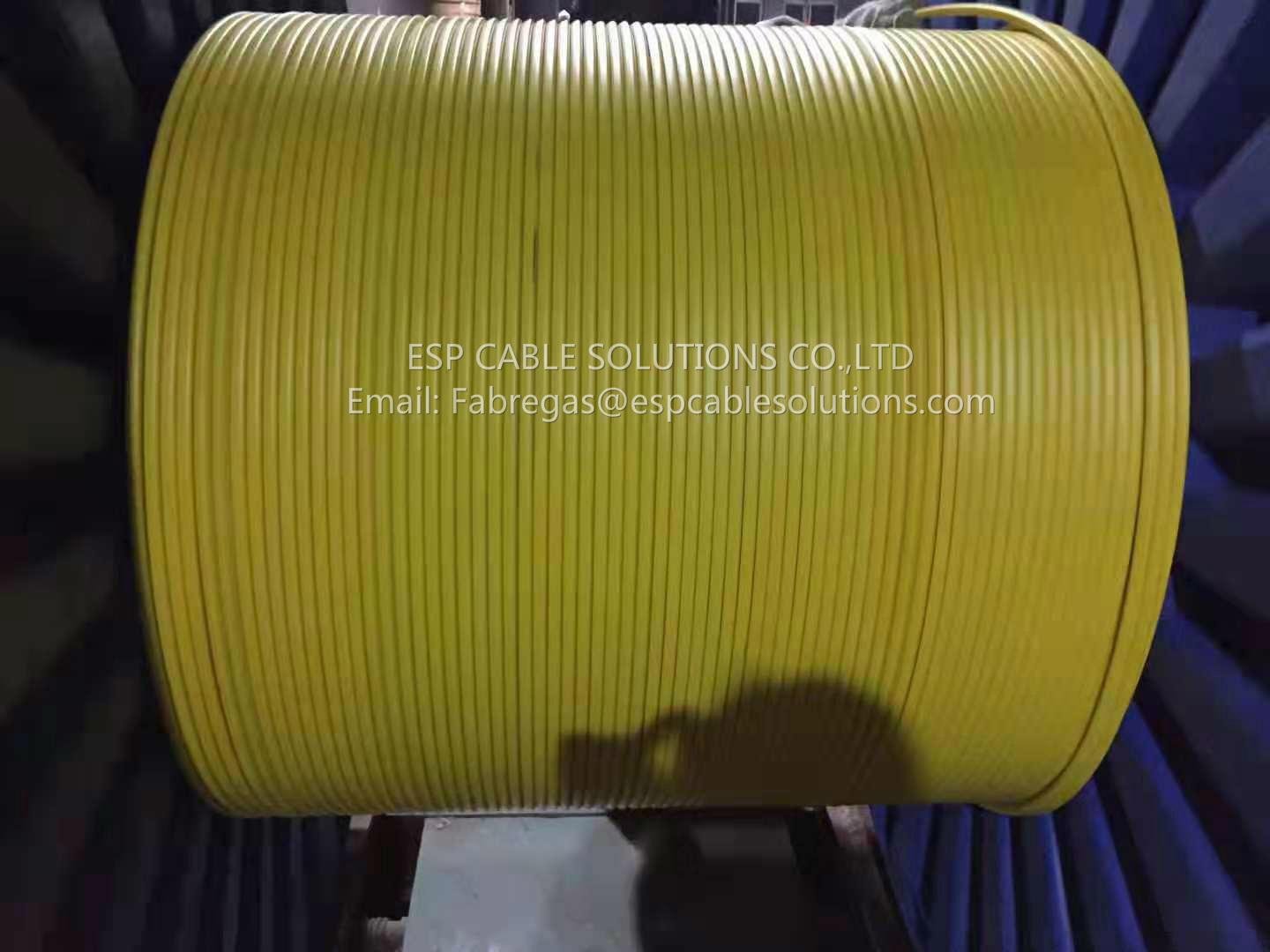 Downhole Tubing Encapsulated Cable TEC wire
