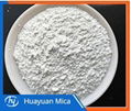 Synthetic Mica Powder 1