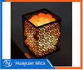 Himalayan Salt Lamp