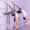 Yoga  Wall with Belt