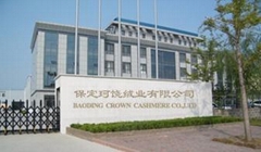 BAODING CROWN IMPORT & EXPORT TRADING CO.,LTD BAODING CROWN IMPORT & EXPORT TRADING CO.,LTD