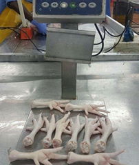 Halal Chicken Feet / Frozen Chicken Paws