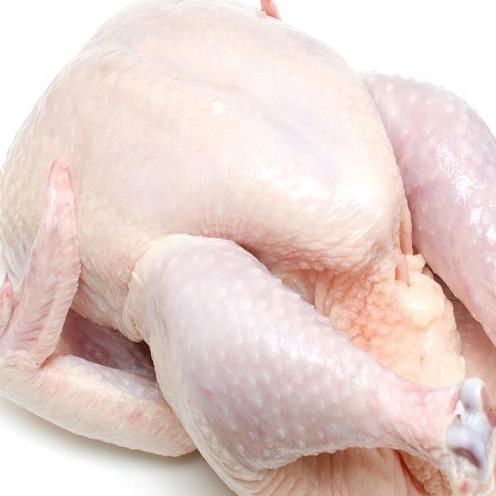 QUALITY HALAL FROZEN WHOLE CHICKEN 4