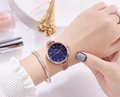 Japan Movt Classical Women Waterproof Sapphire Glass Wrist Watch Wy-153