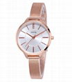 New Times Quartz Women Stainless Steel Business Ladies Watch Wy-160 4