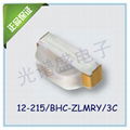 12-215-BHC-ZLMR